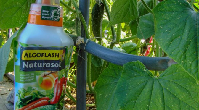 Algoflash Naturasol - Engrais universel liquide pour le potager - dzprod Jardin