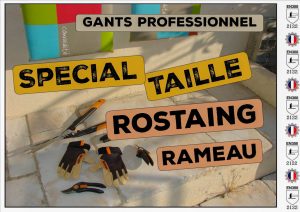 Rostaing Rameau - taille intensive - DZprod Jardin