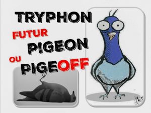 tryphon futur pigeon ou pigeoff