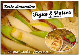 Tarte Amandine figues et poires du jardin - DZprod Jardin - 14 Aôut 2017
