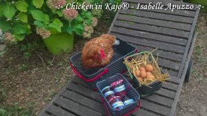 Label rouge la poulette visite un Kajo® - par Isabelle Apuzzo
