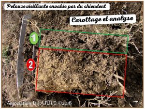 Carottage vieille pelouse envahie par du chiendent - analyse du sol - association la jarre écocitoyenne_