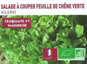 Salade à couper feuille de chêne verte - 3e70 les 12 plants - botanic®