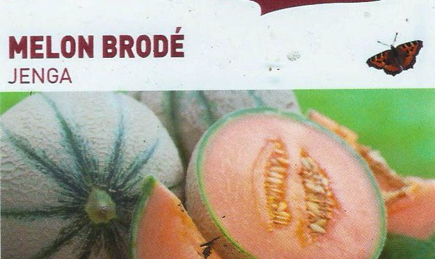 Melon Brodé Jenga