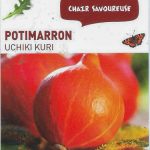 Potimarron Uchiki Kuri - botanic® - dzprod Jardin