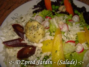 Salade de crudité - DZprod Jardin - 09-05-2018