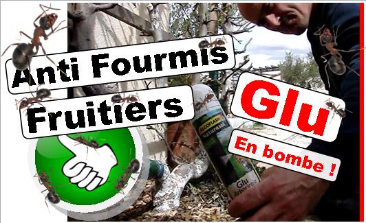 bombe glu anti fourmis - algoflash Naturasol