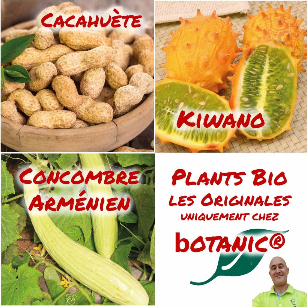 botanic®_Les-originales_cacahuete_Kiwano_concombre-armenien_David-Zicola
